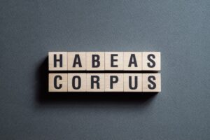 Toledo Habeas Corpus Attorneys